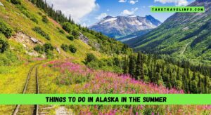Things to do in Alaska in the summer