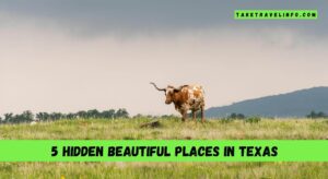 5 Hidden Places to Visit in Texas