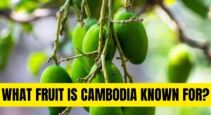 What Fruit is Cambodia Known For?