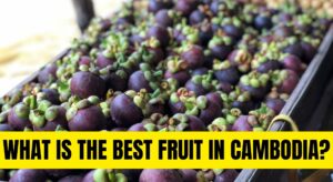 What is the Best Fruit in Cambodia?