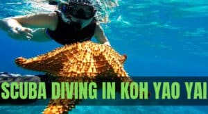 Scuba Diving in Koh Yao Yai