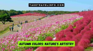 Autumn Colors: Nature's Artistry