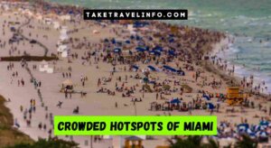 Crowded Hotspots of Miami