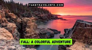 Fall: A Colorful Adventure
