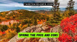 Spring: The Pros And Cons
