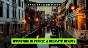 Springtime In Venice: A Delicate Beauty