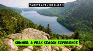 Summer: A Peak Season Experience