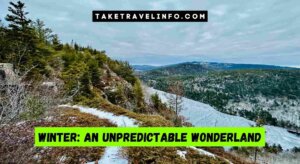 Winter: An Unpredictable Wonderland