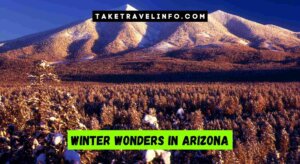 Winter Wonders In Arizona