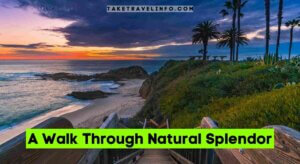A Walk Through Natural Splendor
