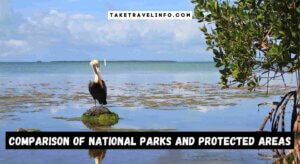 Comparison Of National Parks And Protected Areas
