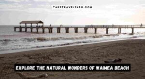 Explore The Natural Wonders Of Waimea Beach