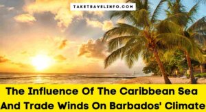 The Influence Of The Caribbean Sea And Trade Winds On Barbados' Climate