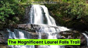 The Magnificent Laurel Falls Trail