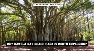Why Kawela Bay Beach Park Is Worth Exploring?