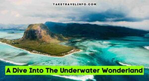 A Dive Into The Underwater Wonderland