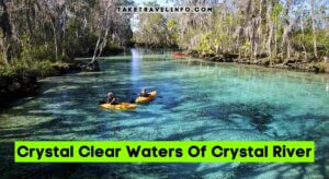 Crystal Clear Waters Of Crystal River