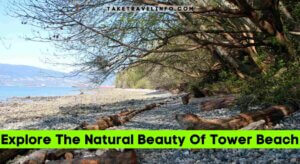 Explore The Natural Beauty Of Tower Beach
