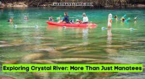Exploring Crystal River: More Than Just Manatees