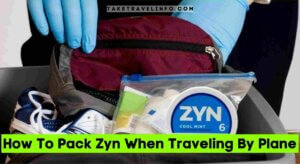 How To Pack Zyn When Traveling By Plane