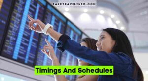 Timings And Schedules