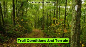 Trail Conditions And Terrain