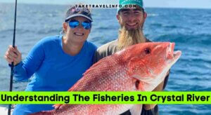 Understanding The Fisheries In Crystal River