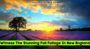 Witness The Stunning Fall Foliage In New England