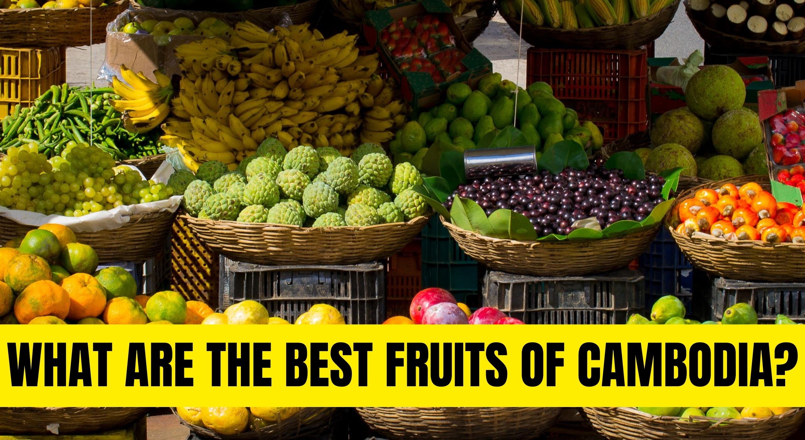 What Are The Best Fruits of Cambodia?