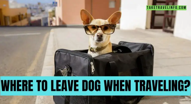Where to Leave Dog When Traveling?