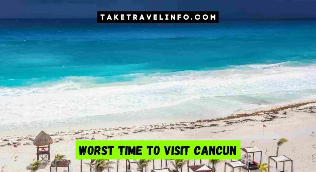 Worst months to go to cancun whale shark tulum