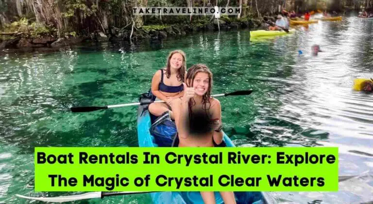 Boat Rentals In Crystal River: Explore The Magic of Crystal Clear Waters