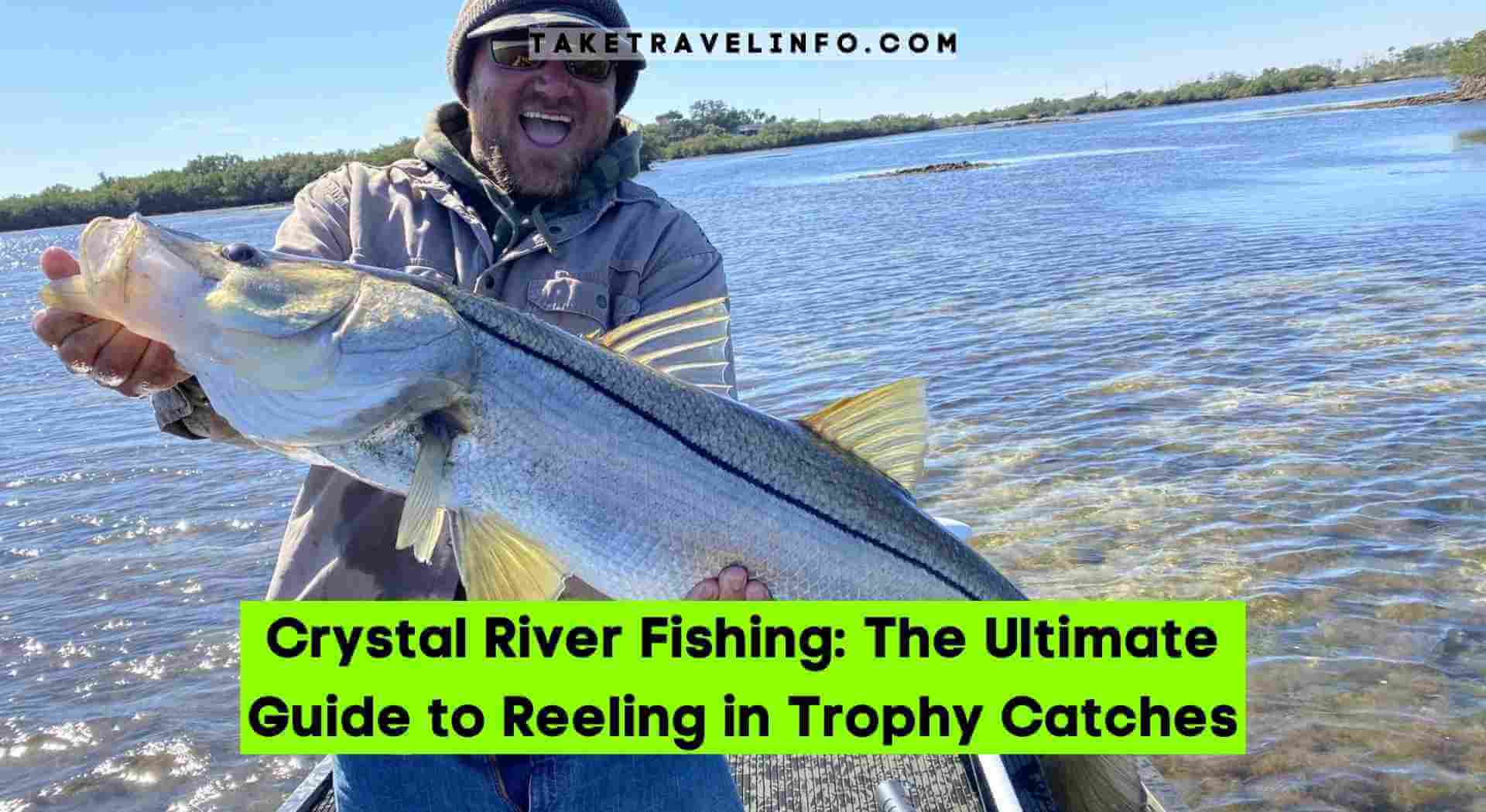 Crystal River Fishing: The Ultimate Guide to Reeling in Trophy Catches