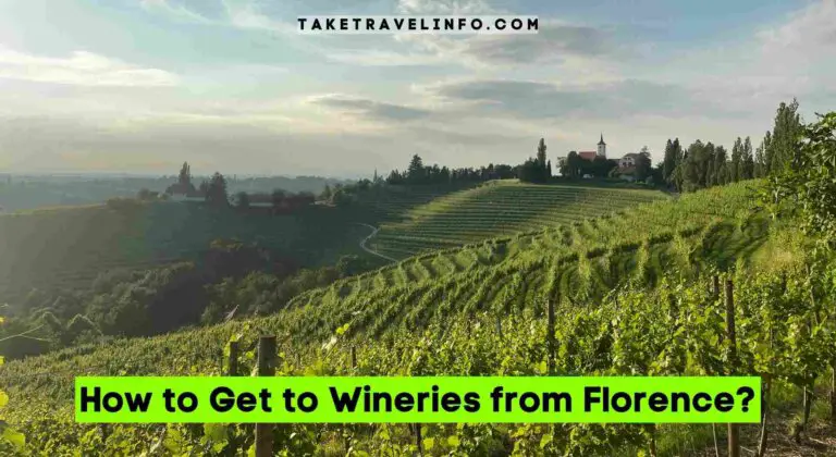 How to Get to Wineries from Florence?