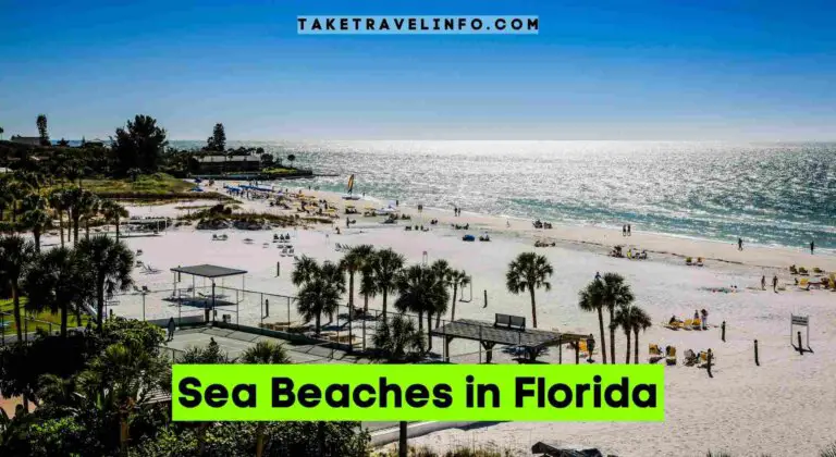 Sea Beaches in Florida
