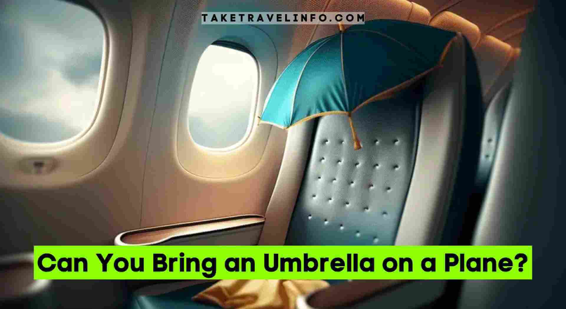 Can You Bring an Umbrella on a Plane?