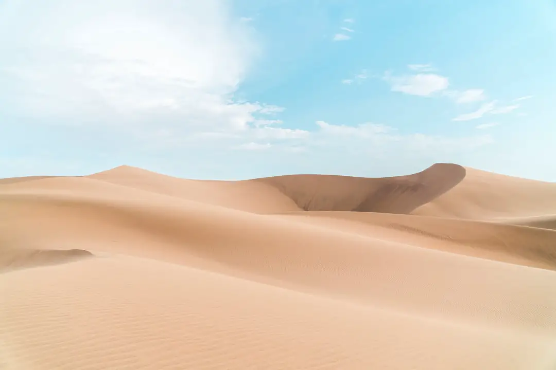 Photo Safari landscape