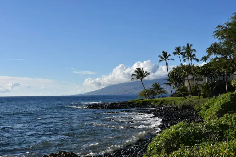 Photo Hawaiian beach