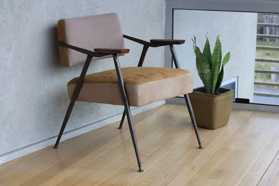 Photo Infested furniture