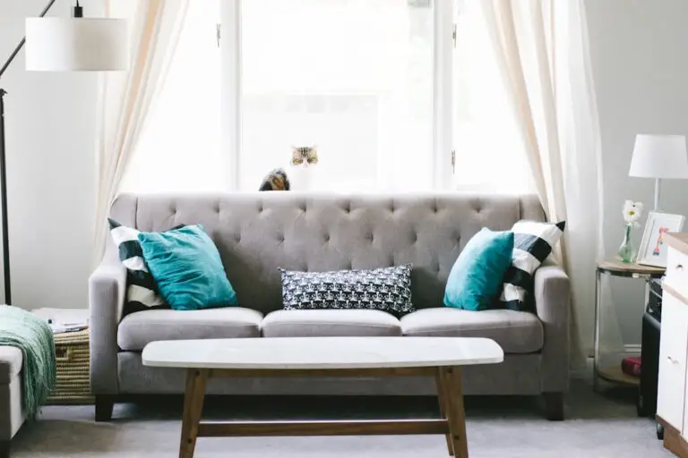 Photo Infested furniture