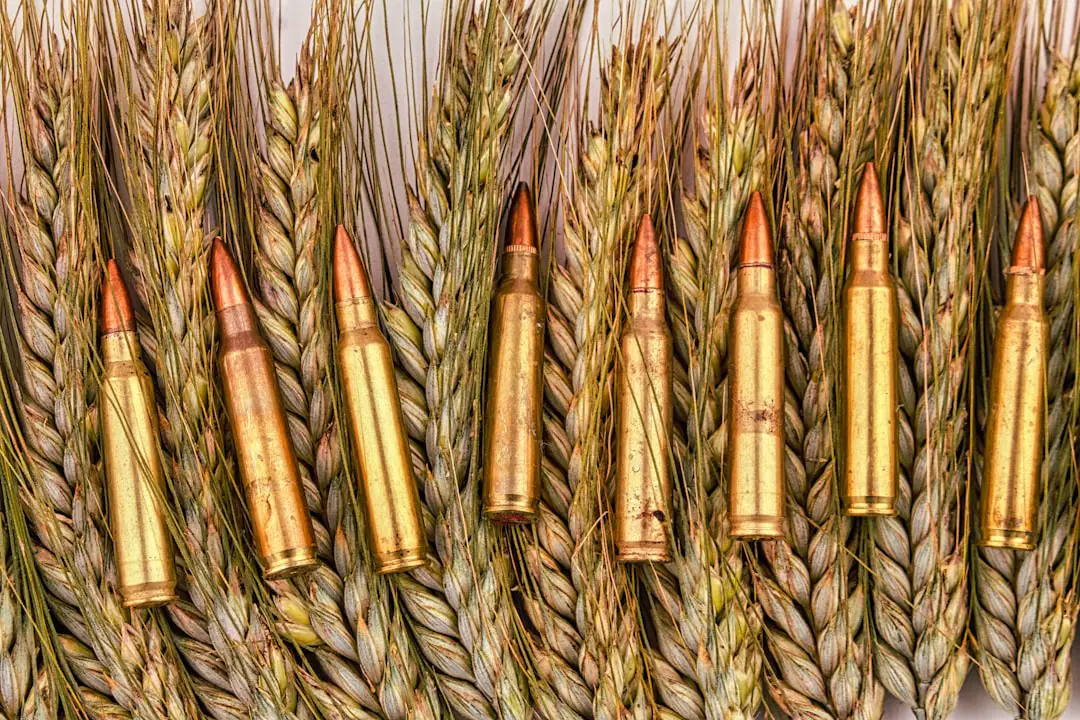 Photo Bullet trajectory