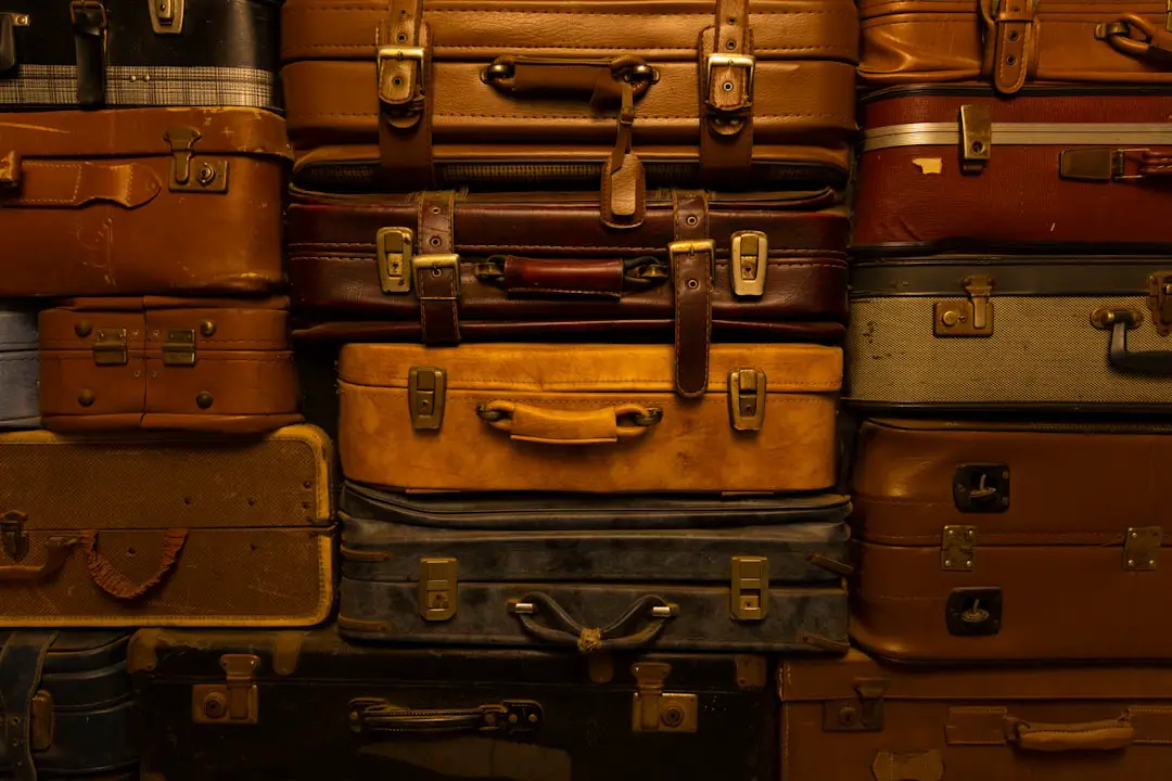 Photo Infested luggage