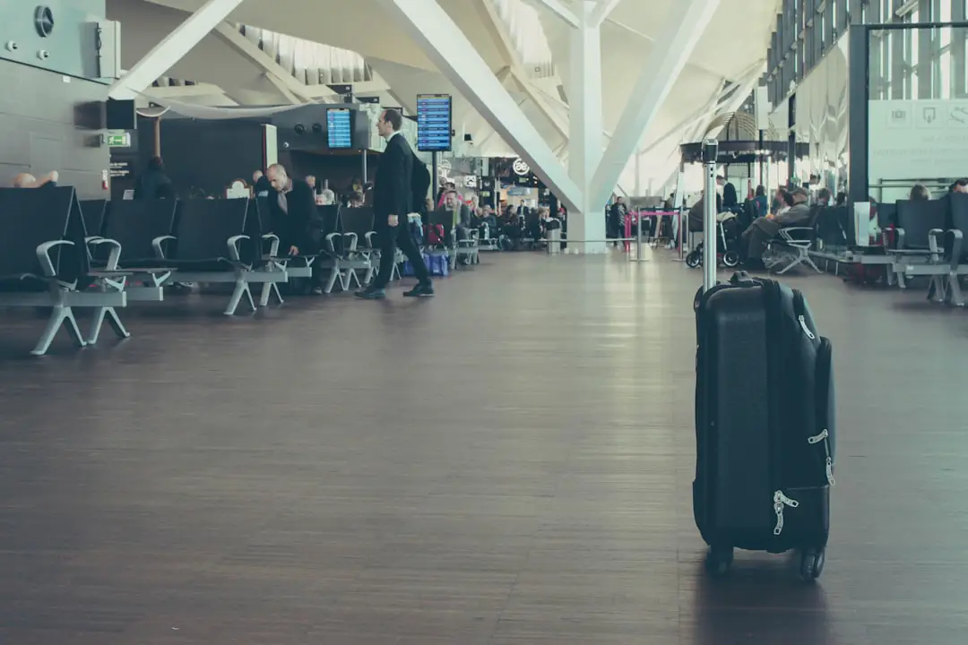Photo Infested luggage