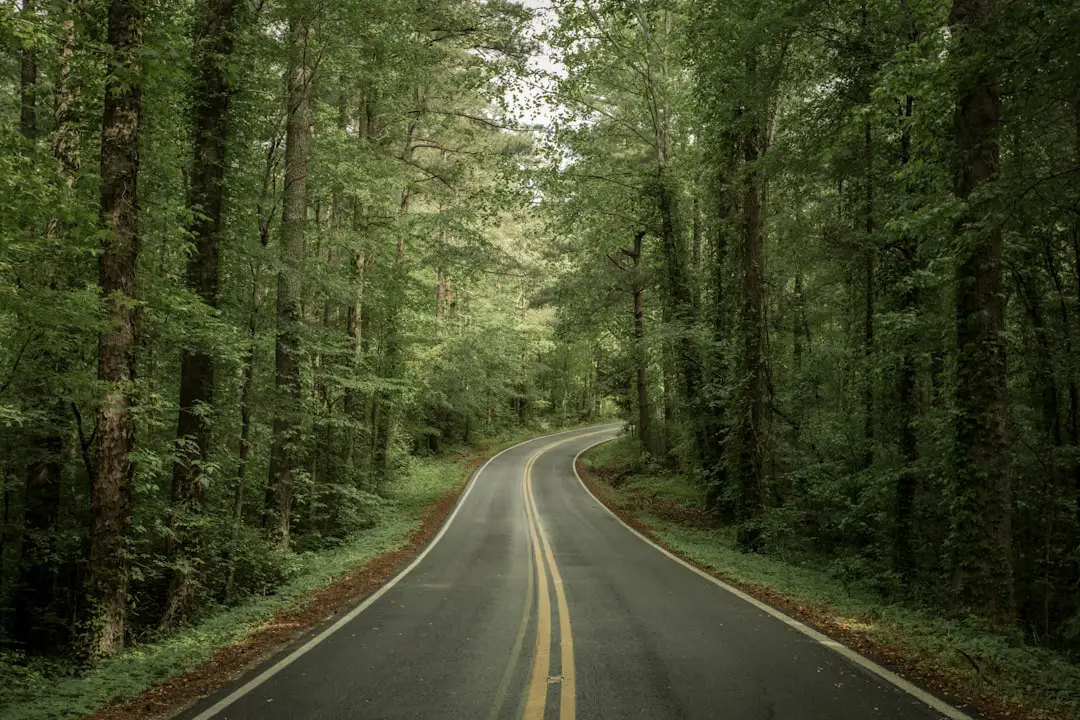Photo Road trip
