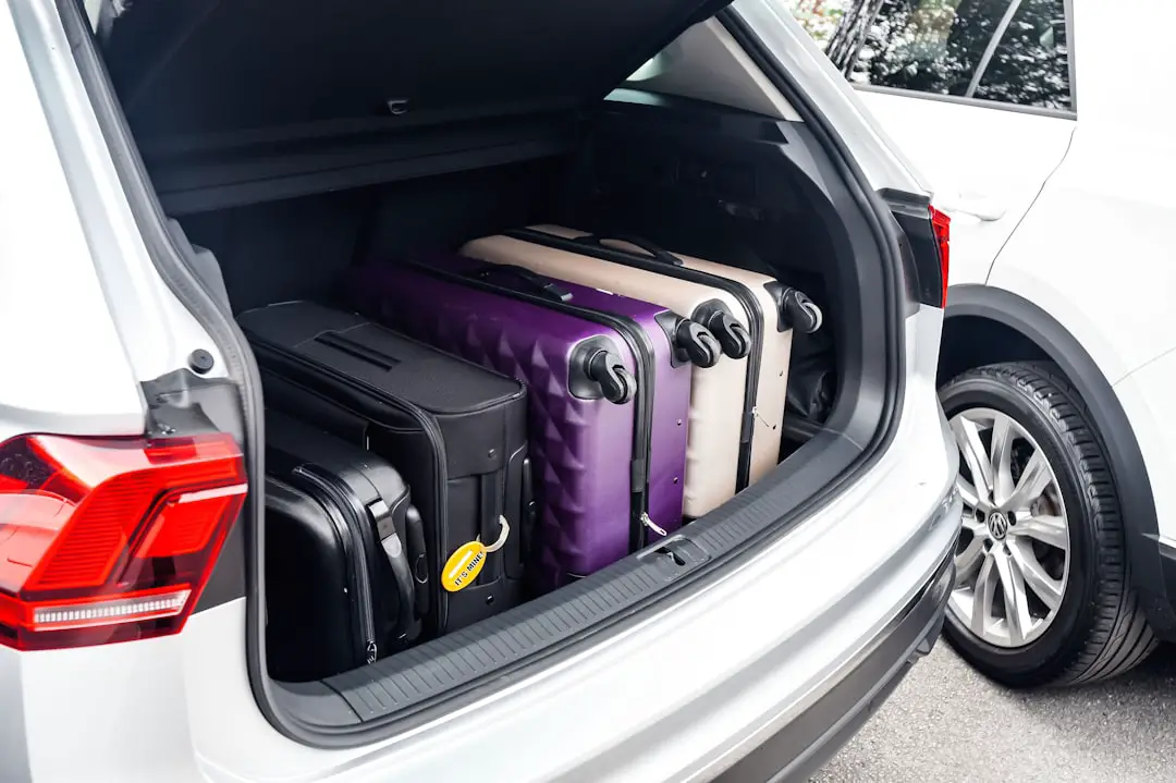 Photo Infested luggage