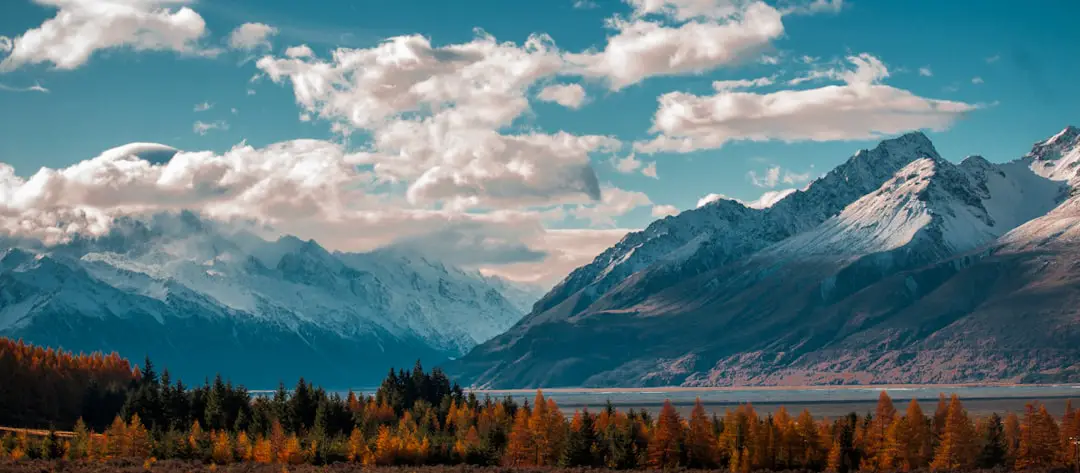 Photo Forest landscape