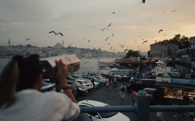 Photo Turkey flock