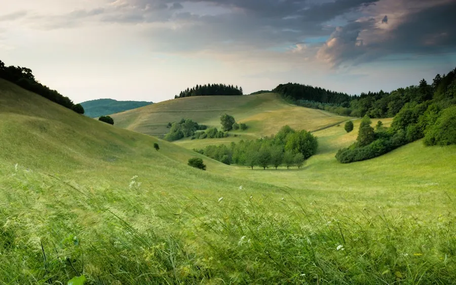 Best Time to Visit Norway Fjords: Summer vs. Winter Green rolling hills beneath a cloudy sky