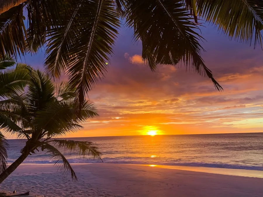 Best Time to Travel to Kauai: A Seasonal Guide Lush coastal and mountain scenery on Kauai during spring
