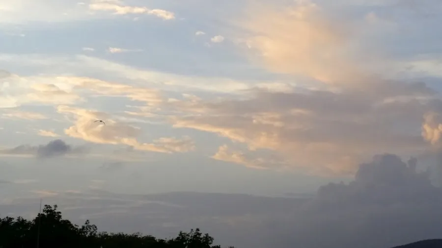 Best Time to Travel to Maui: A Seasonal Guide Lush Maui landscape during spring hiking season